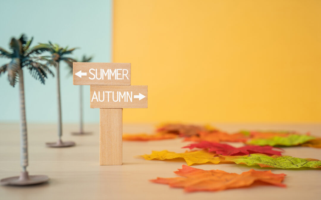 From summer season to autumn season.