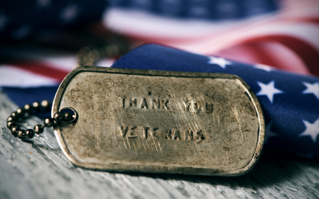 text thank you veterans in a dog tag